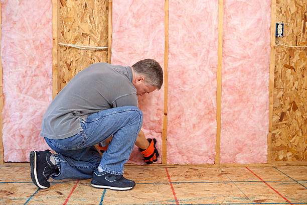 Best Soundproof Insulation  in Pinson, AL